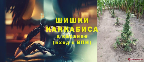 сатива Белоозёрский