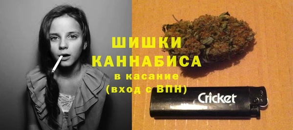 сатива Белоозёрский
