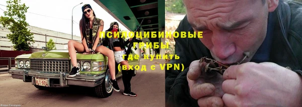 молекула духа Беломорск