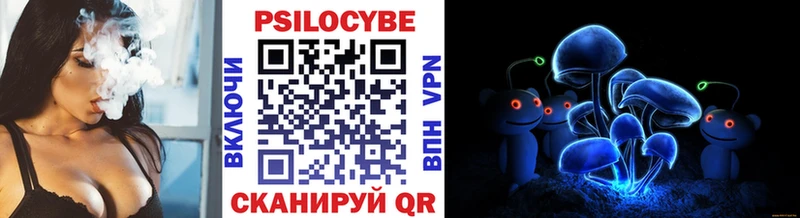 Псилоцибиновые грибы Magic Shrooms  Вяземский 
