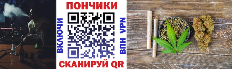 Конопля планчик  Вяземский 